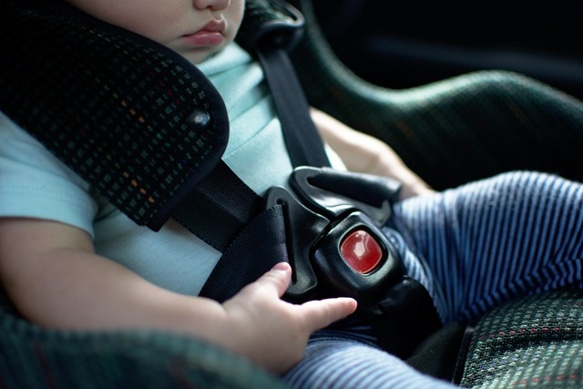 Child Car Seat Law In Georgia Kaine